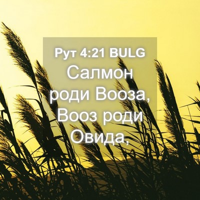 Picture 04 - Рут 4:21 BULG - Салмон роди Вооза, Вооз - Bible Verse Picture