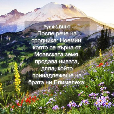 Picture 04 - Рут 4:3 BULG - После рече на сродника: - Bible Verse Picture