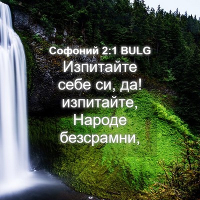 Picture 04 - Софоний 2:1 BULG - Изпитайте себе си, да! - Bible Verse Picture