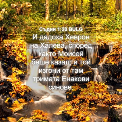 Picture 04 - Съдии 1:20 BULG - И дадоха Хеврон на Халева, - Bible Verse Picture