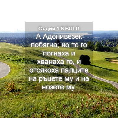 Picture 04 - Съдии 1:6 BULG - А Адонивезек побягна; но те - Bible Verse Picture