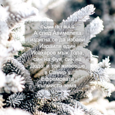 Picture 04 - Съдии 10:1 BULG - А след Авимелеха издигна - Bible Verse Picture