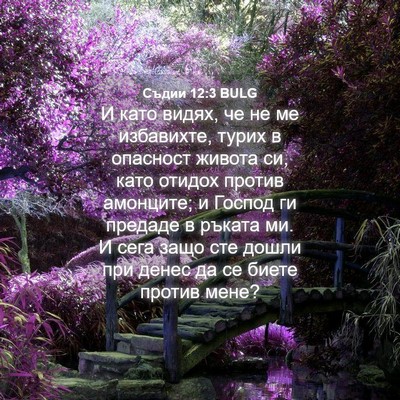 Picture 04 - Съдии 12:3 BULG - И като видях, че не ме - Bible Verse Picture