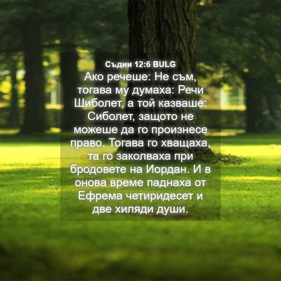 Picture 04 - Съдии 12:6 BULG - Ако речеше: Не съм, тогава - Bible Verse Picture