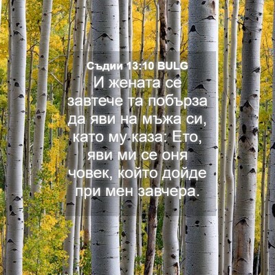 Picture 04 - Съдии 13:10 BULG - И жената се завтече та - Bible Verse Picture