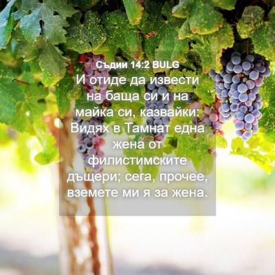 Picture 04 - Съдии 14:2 BULG - И отиде да извести на баща - Bible Verse Picture