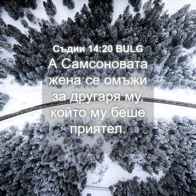 Picture 04 - Съдии 14:20 BULG - А Самсоновата жена се - Bible Verse Picture