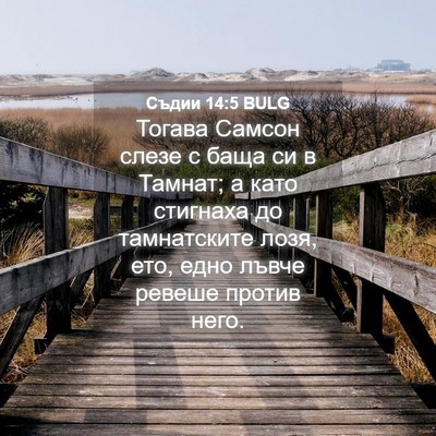 Picture 04 - Съдии 14:5 BULG - Тогава Самсон слезе с баща - Bible Verse Picture