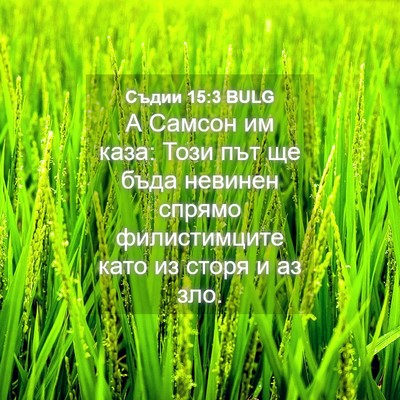 Picture 04 - Съдии 15:3 BULG - А Самсон им каза: Този път - Bible Verse Picture