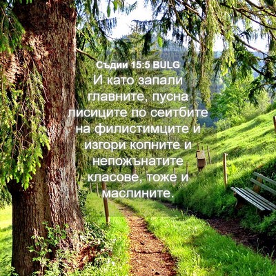 Picture 04 - Съдии 15:5 BULG - И като запали главните, - Bible Verse Picture