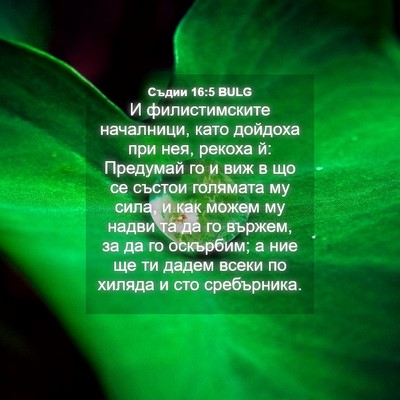 Picture 04 - Съдии 16:5 BULG - И филистимските началници, - Bible Verse Picture