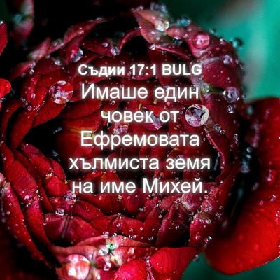 Picture 04 - Съдии 17:1 BULG - Имаше един човек от - Bible Verse Picture