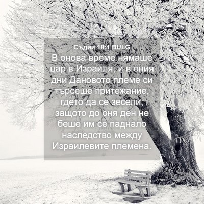Picture 04 - Съдии 18:1 BULG - В онова време нямаше цар в - Bible Verse Picture