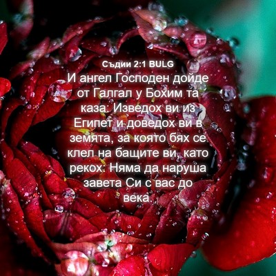 Picture 04 - Съдии 2:1 BULG - И ангел Господен дойде от - Bible Verse Picture