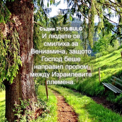 Picture 04 - Съдии 21:15 BULG - И людете се смилиха за - Bible Verse Picture