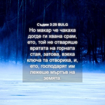 Picture 04 - Съдии 3:25 BULG - Но макар че чакаха догде ги - Bible Verse Picture