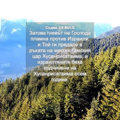 Picture 04 - Съдии 3:8 BULG - Затова гневът на Господа - Bible Verse Picture