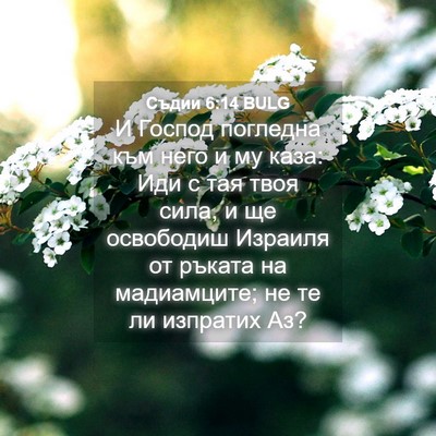 Picture 04 - Съдии 6:14 BULG - И Господ погледна към него - Bible Verse Picture