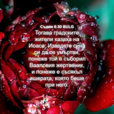 Picture 04 - Съдии 6:30 BULG - Тогава градските жители - Bible Verse Picture