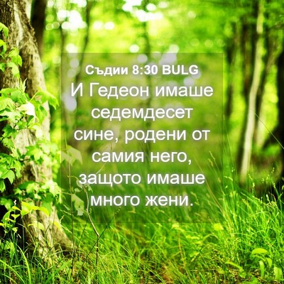 Picture 04 - Съдии 8:30 BULG - И Гедеон имаше седемдесет - Bible Verse Picture