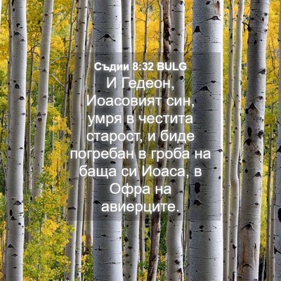 Picture 04 - Съдии 8:32 BULG - И Гедеон, Иоасовият син, - Bible Verse Picture