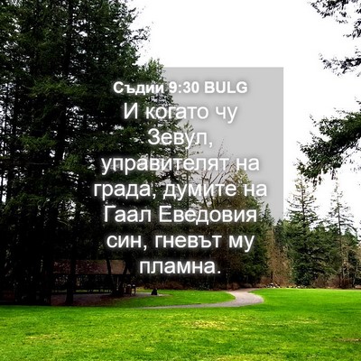 Picture 04 - Съдии 9:30 BULG - И когато чу Зевул, - Bible Verse Picture