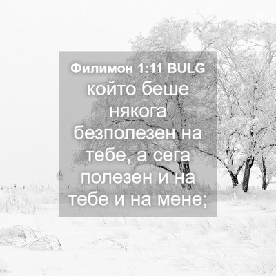 Picture 04 - Филимон 1:11 BULG - който беше някога - Bible Verse Picture