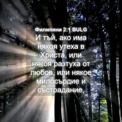 Picture 04 - Филипяни 2:1 BULG - И тъй, ако има някоя утеха в - Bible Verse Picture