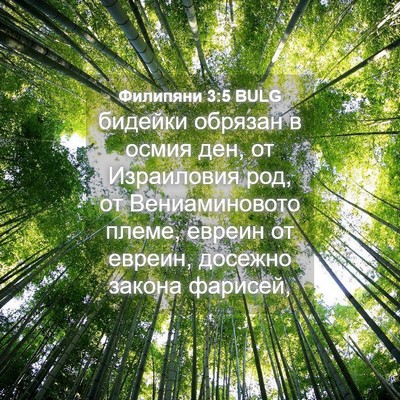 Picture 04 - Филипяни 3:5 BULG - бидейки обрязан в осмия - Bible Verse Picture
