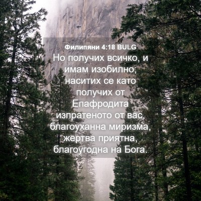 Picture 04 - Филипяни 4:18 BULG - Но получих всичко, и имам - Bible Verse Picture