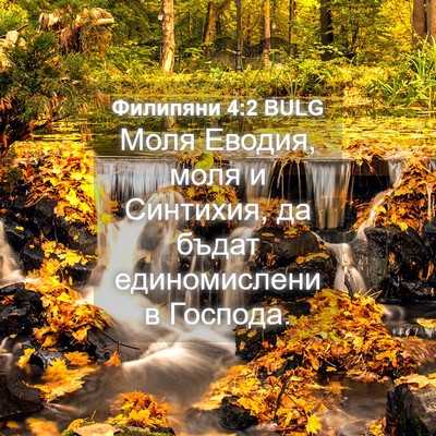 Picture 04 - Филипяни 4:2 BULG - Моля Еводия, моля и - Bible Verse Picture