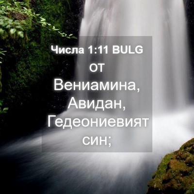Picture 04 - Числа 1:11 BULG - от Вениамина, Авидан, - Bible Verse Picture
