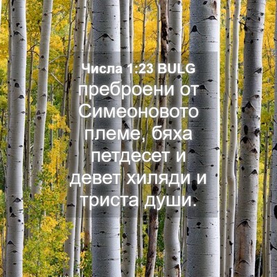 Picture 04 - Числа 1:23 BULG - преброени от Симеоновото - Bible Verse Picture
