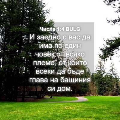 Picture 04 - Числа 1:4 BULG - И заедно с вас да има по - Bible Verse Picture