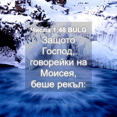 Picture 04 - Числа 1:48 BULG - Защото Господ, говорейки - Bible Verse Picture