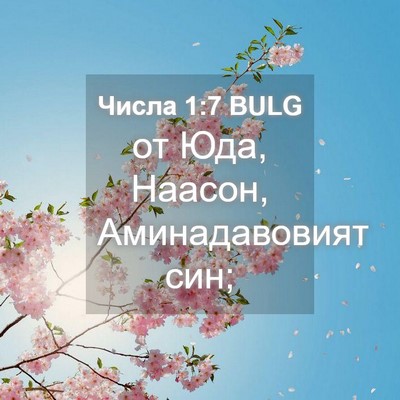 Picture 04 - Числа 1:7 BULG - от Юда, Наасон, - Bible Verse Picture