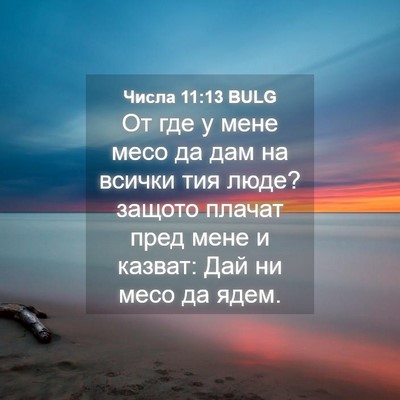 Picture 04 - Числа 11:13 BULG - От где у мене месо да дам на - Bible Verse Picture