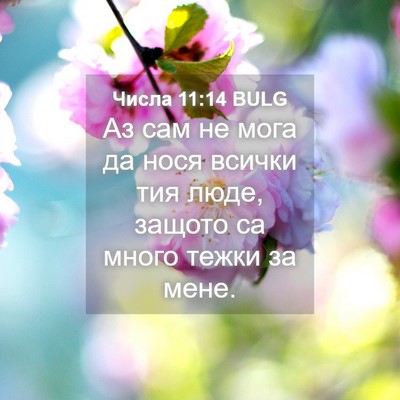 Picture 04 - Числа 11:14 BULG - Аз сам не мога да нося - Bible Verse Picture