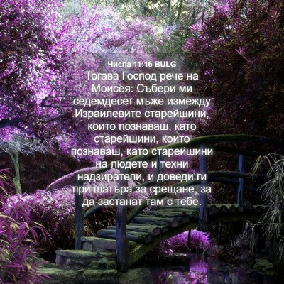 Picture 04 - Числа 11:16 BULG - Тогава Господ рече на - Bible Verse Picture