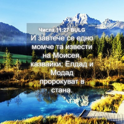 Picture 04 - Числа 11:27 BULG - И завтече се едно момче та - Bible Verse Picture