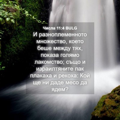 Picture 04 - Числа 11:4 BULG - И разноплеменното - Bible Verse Picture