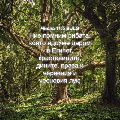 Picture 04 - Числа 11:5 BULG - Ние помним рибата, която - Bible Verse Picture