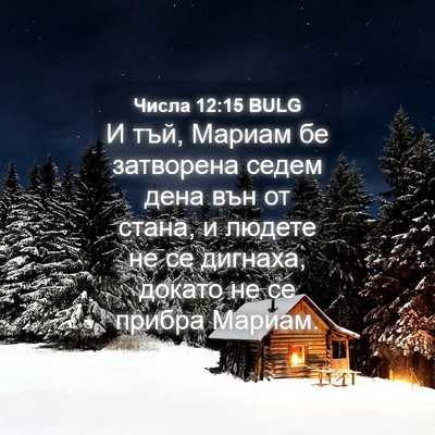 Picture 04 - Числа 12:15 BULG - И тъй, Мариам бе затворена - Bible Verse Picture