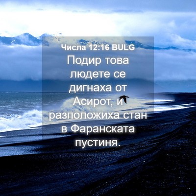 Picture 04 - Числа 12:16 BULG - Подир това людете се - Bible Verse Picture