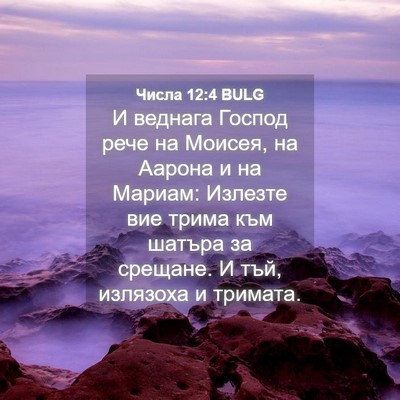 Picture 04 - Числа 12:4 BULG - И веднага Господ рече на - Bible Verse Picture
