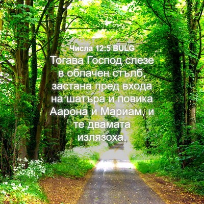 Picture 04 - Числа 12:5 BULG - Тогава Господ слезе в - Bible Verse Picture