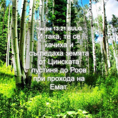 Picture 04 - Числа 13:21 BULG - И така, те се качиха и - Bible Verse Picture