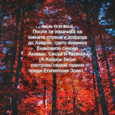 Picture 04 - Числа 13:22 BULG - После се изкачиха на - Bible Verse Picture