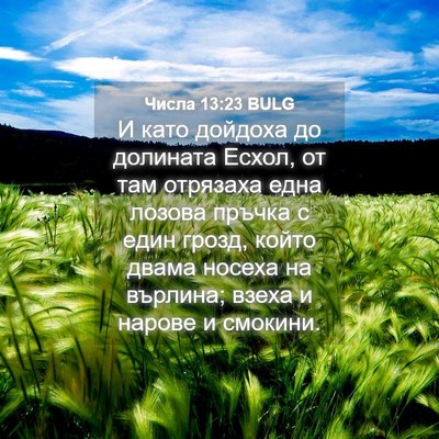 Picture 04 - Числа 13:23 BULG - И като дойдоха до долината - Bible Verse Picture