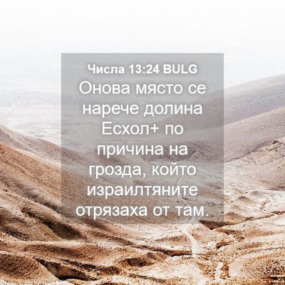 Picture 04 - Числа 13:24 BULG - Онова място се нарече - Bible Verse Picture